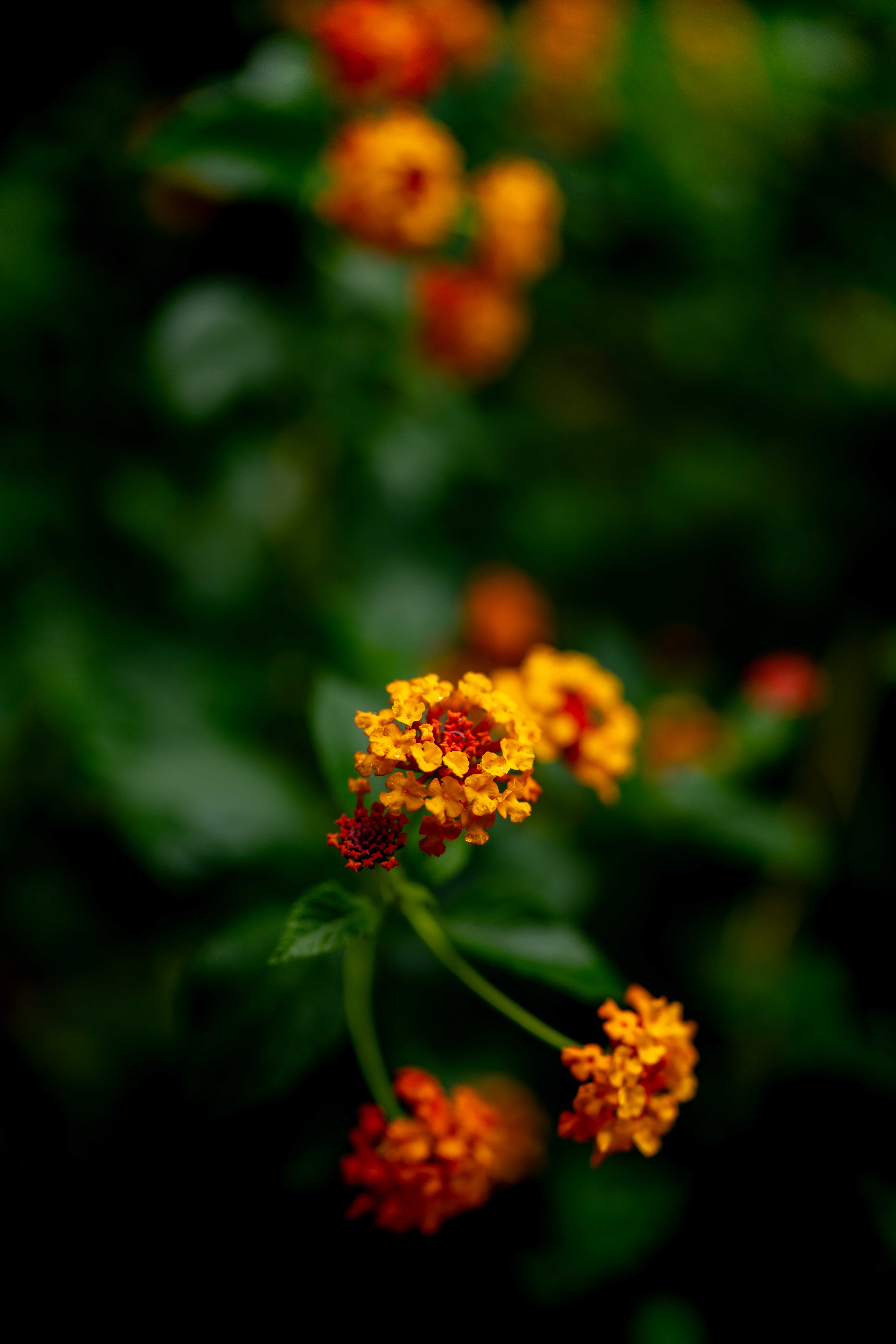 Photos from travel in Rome, Florence, Venice, Fall 2025.